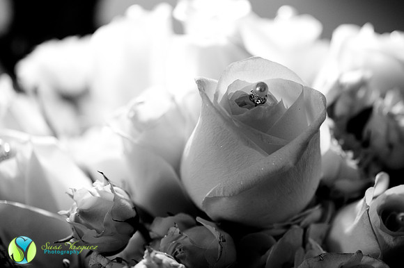 st augustine wedding photographer