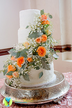 st augustine wedding photographer