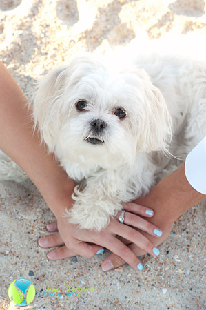 Engaged Couple in St Augustine Beach