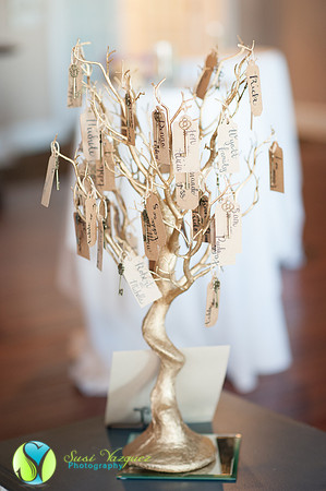 st augustine wedding photographer