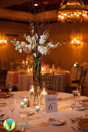 st augustine wedding photographer