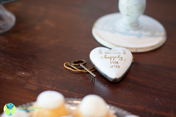 st augustine wedding photographer