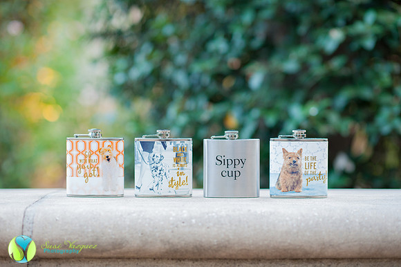st augustine wedding photographer