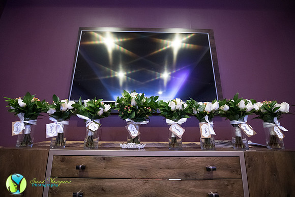 st augustine wedding photographer
